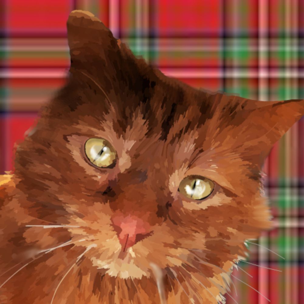 cattymccatface.bsky.social profile picture