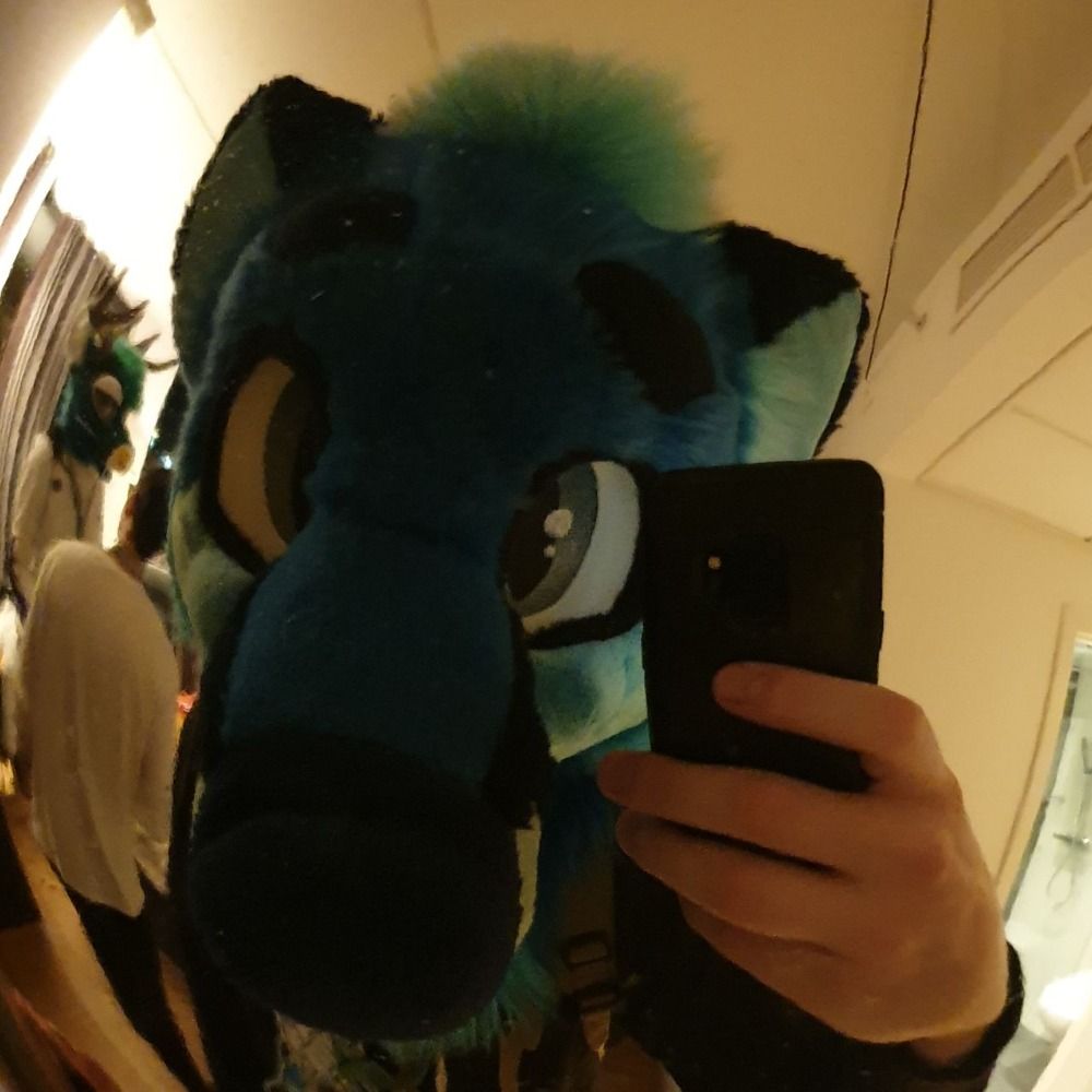 Bloo🦊Bloo