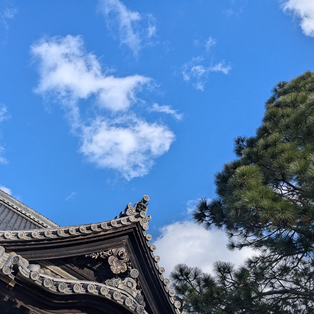 しかばね