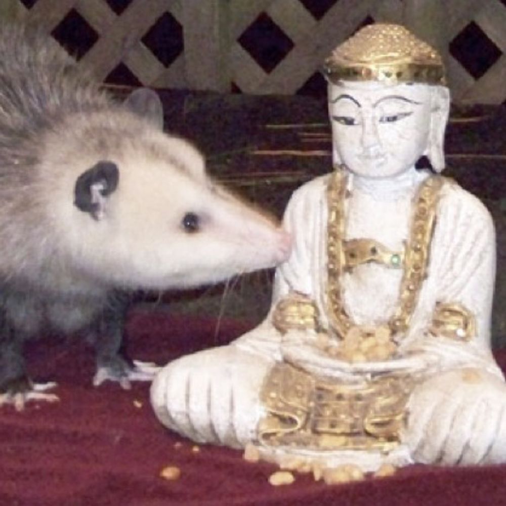 theoutergates.bsky.social