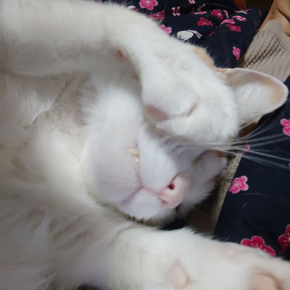 みっつん