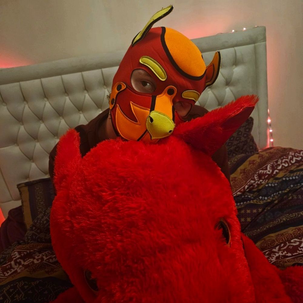 Toasty Taz