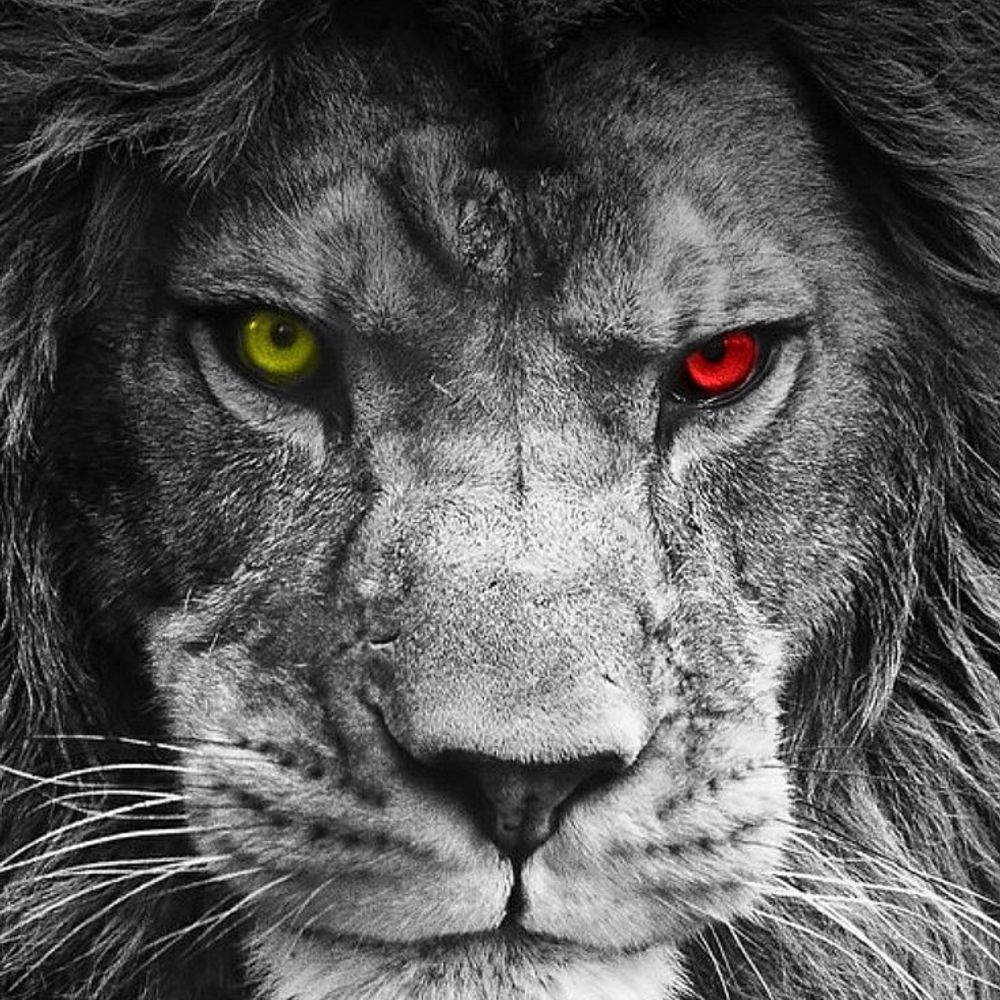 Hızır Aslan