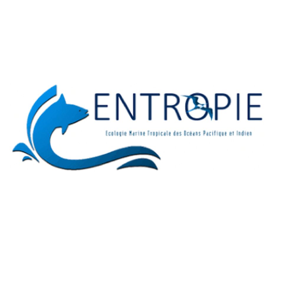 UMR ENTROPIE