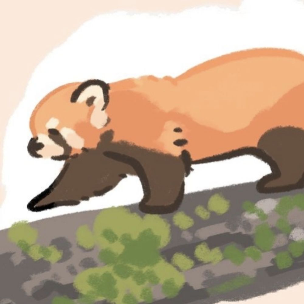 [REDACTED]