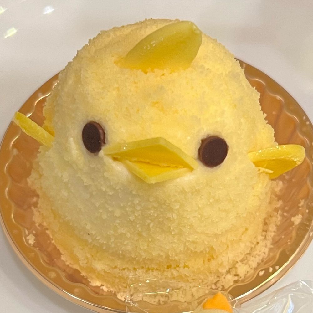 🐰みーこ🐰