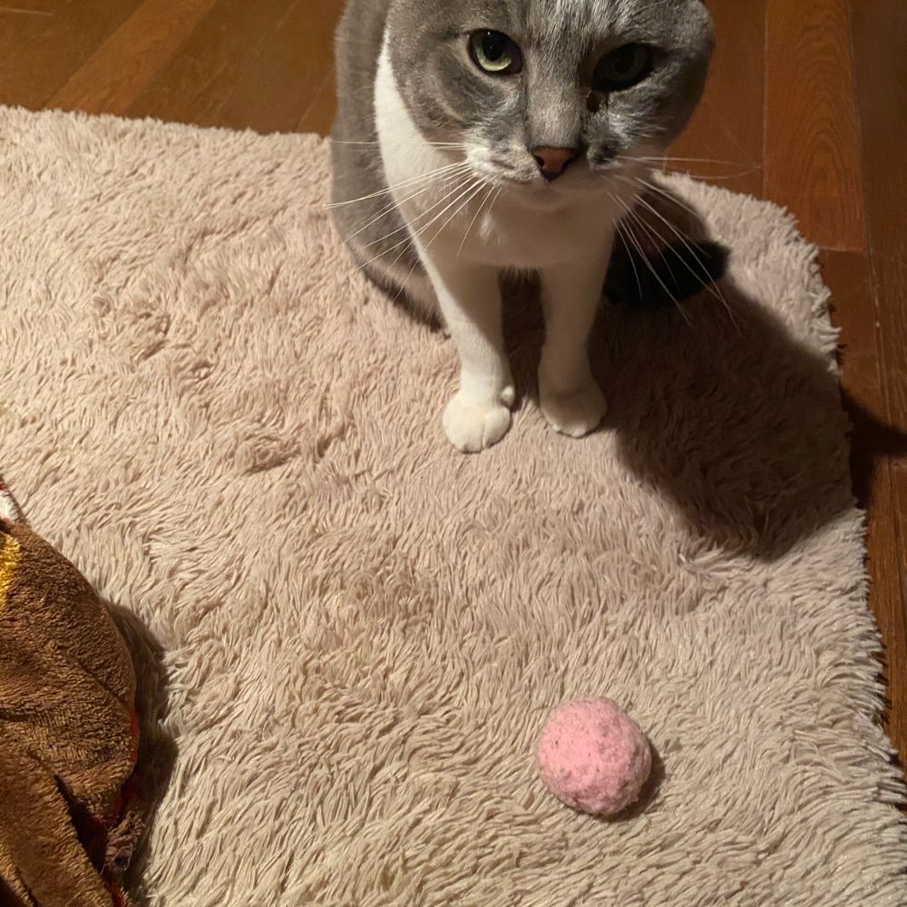 めの