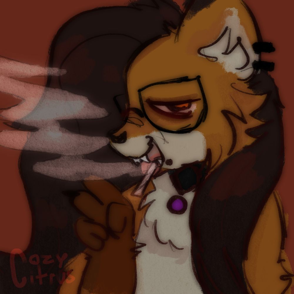 Skye the Space Fox