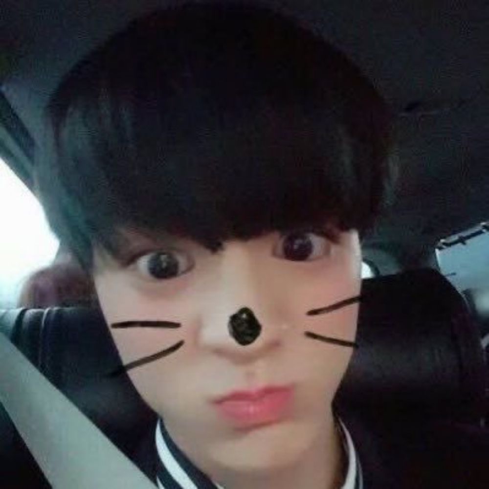 사영 