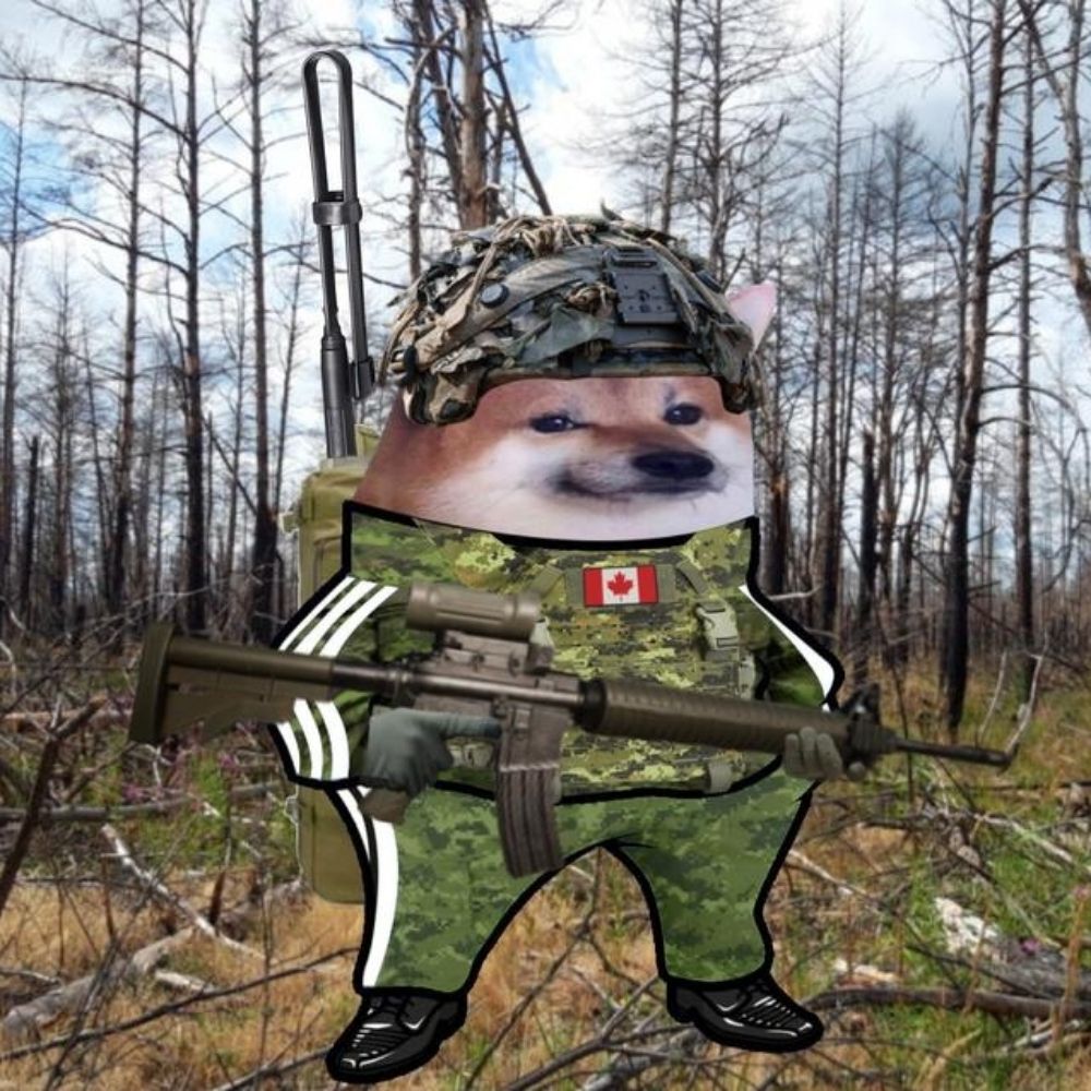 Sigopig