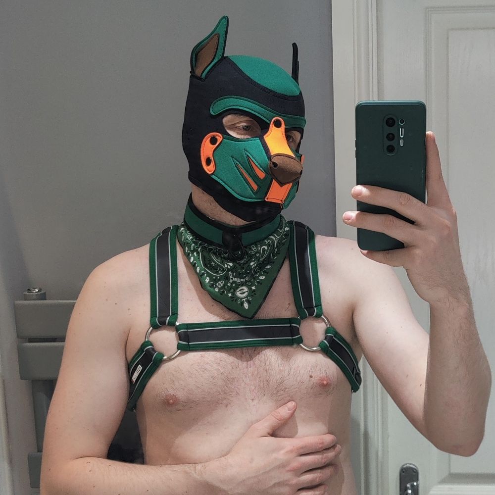 PupNull