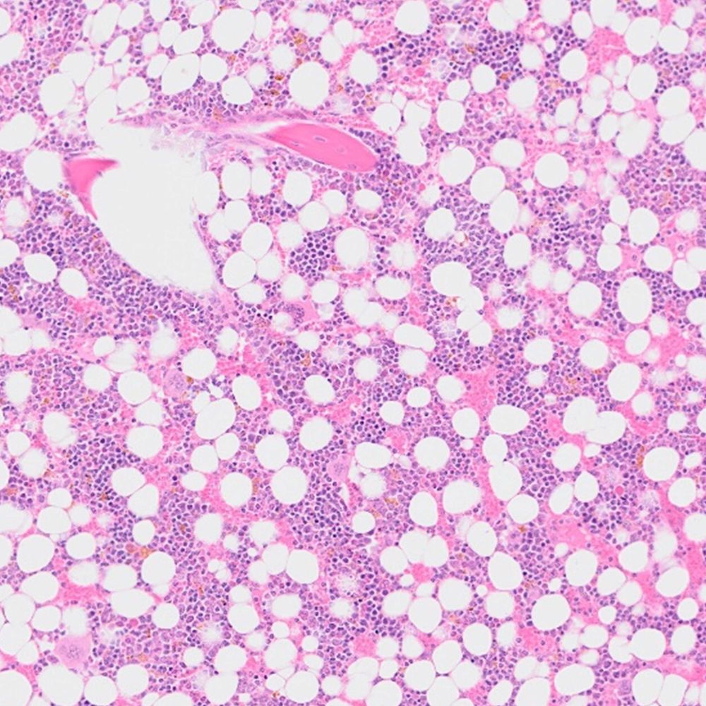 Rosen Lab