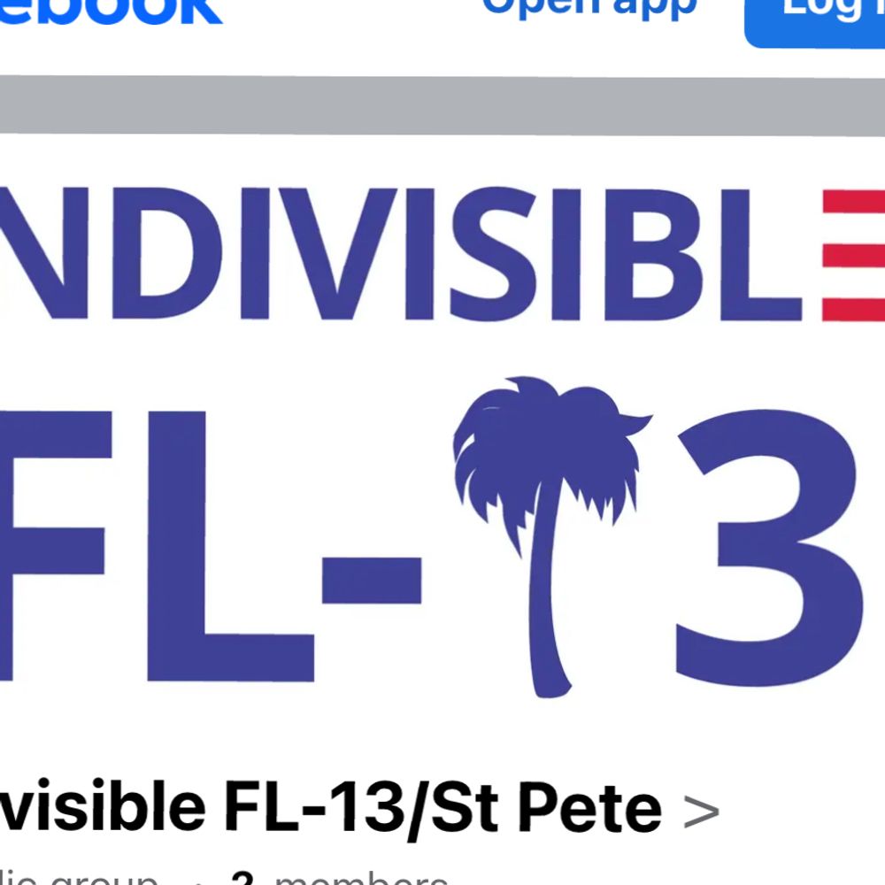 Indivisible FL-13
