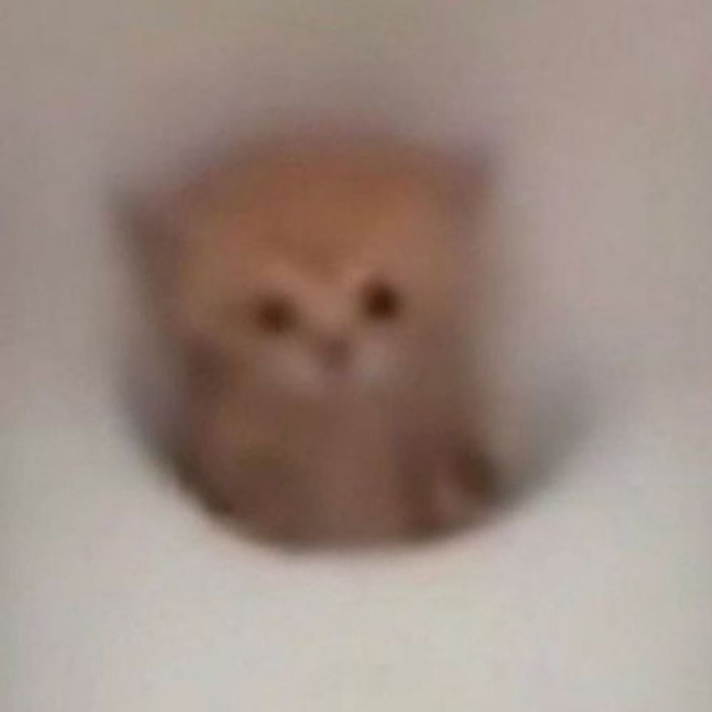 Low Quality Cats