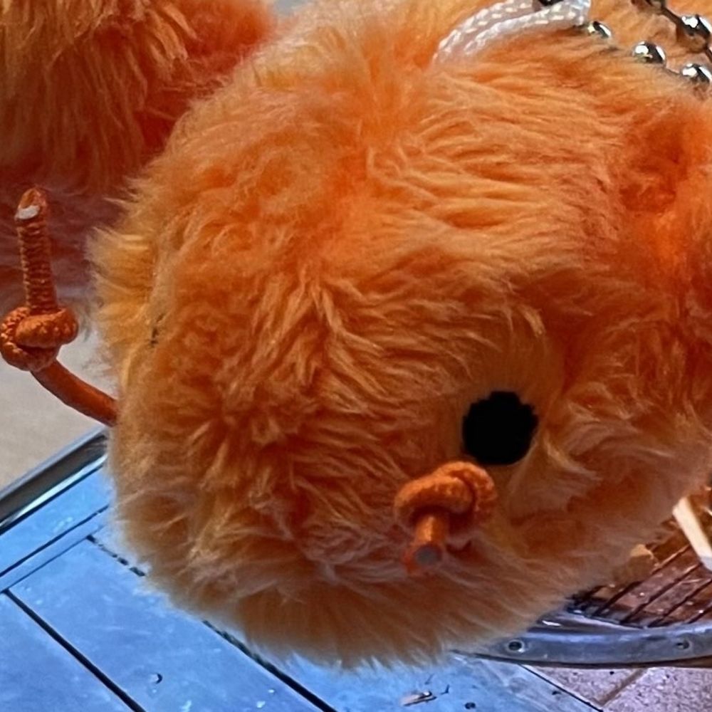 えびから🦐