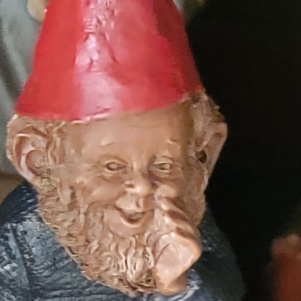 VargrReborn