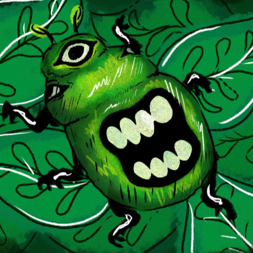 beetle 🪲 he/him