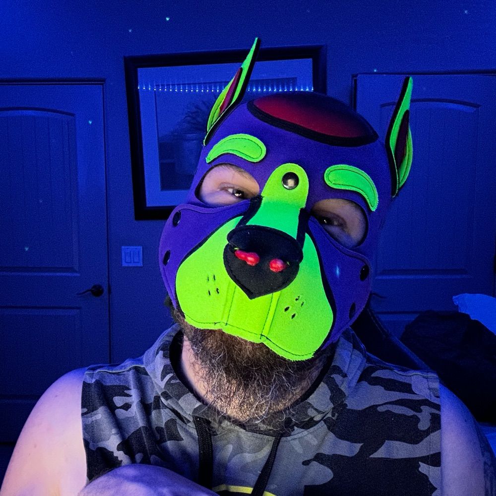 Pup Vash