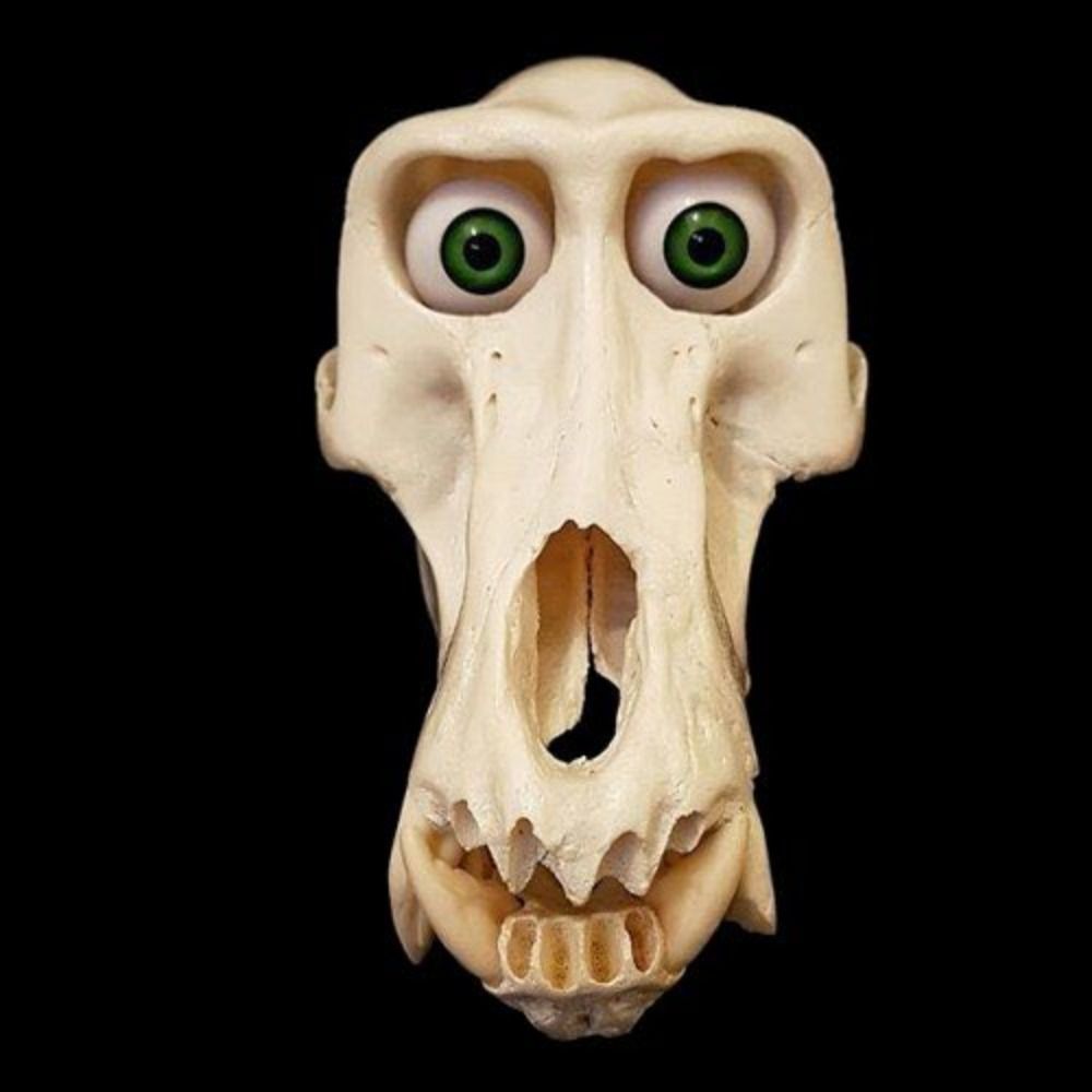 Dung eater
