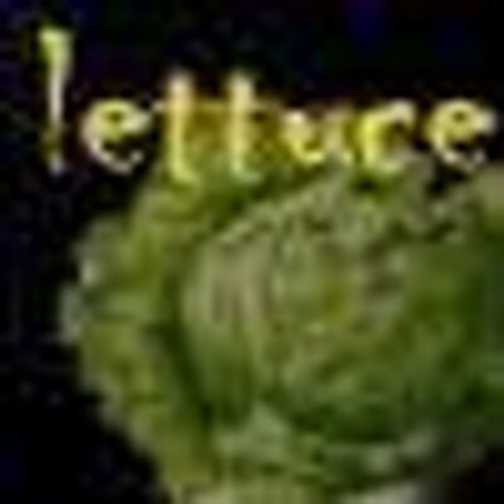 thelettuceman (he/him)'s avatar