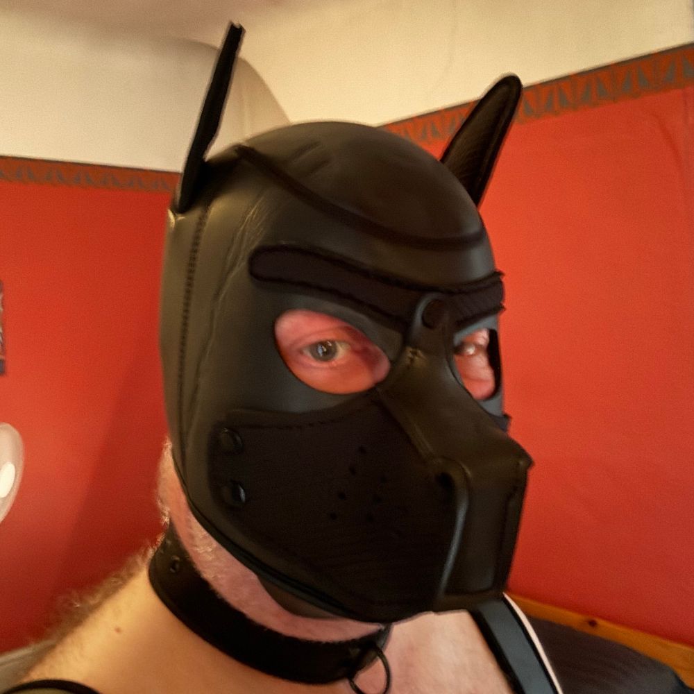 Subpupdee