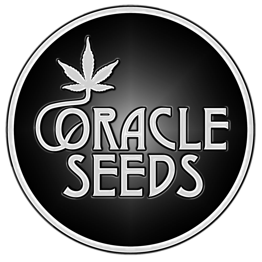 Oracle Seeds