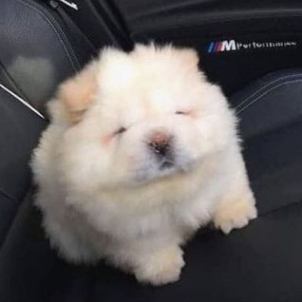 부스러기