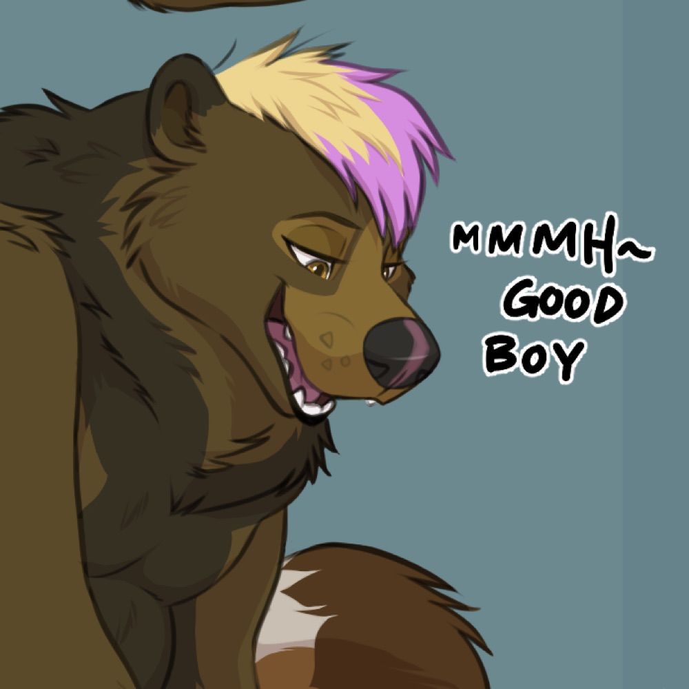Baffle Bear