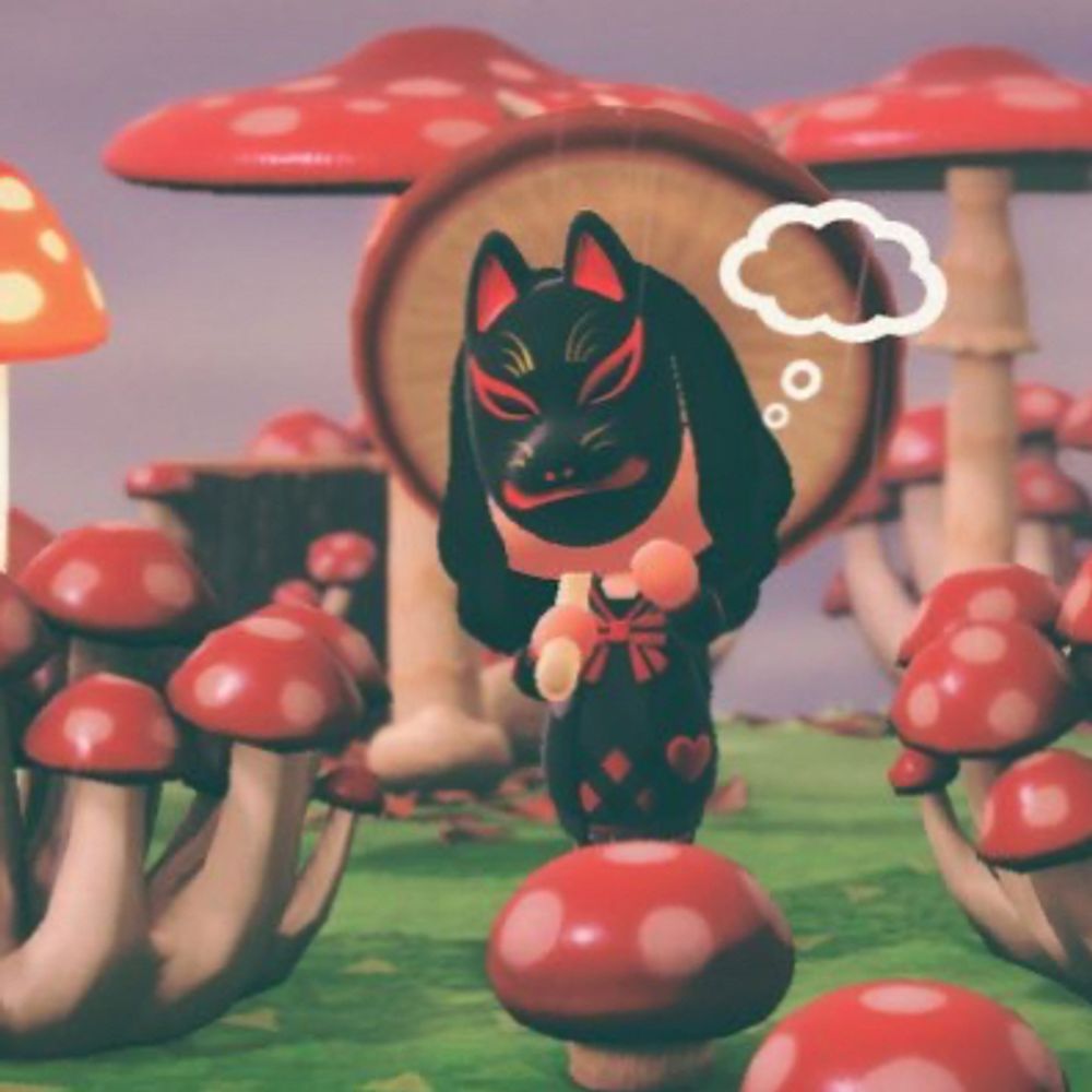 🐸🍄 𝘿𝙧𝙪𝙞𝙙 𝙤𝙛 𝘼𝙢𝙥𝙝𝙞𝙗𝙞𝙖 🍄🐸