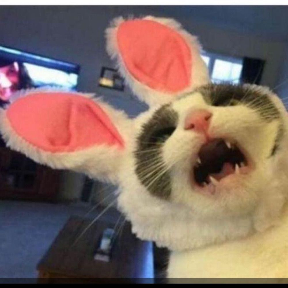 TH