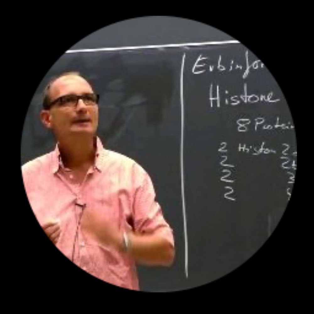 HerrmannLab