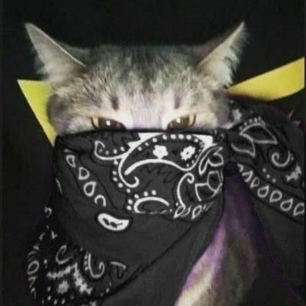 Frezya