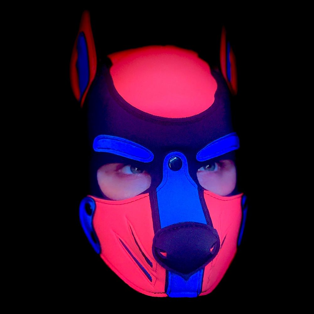 Pup Eros 's avatar