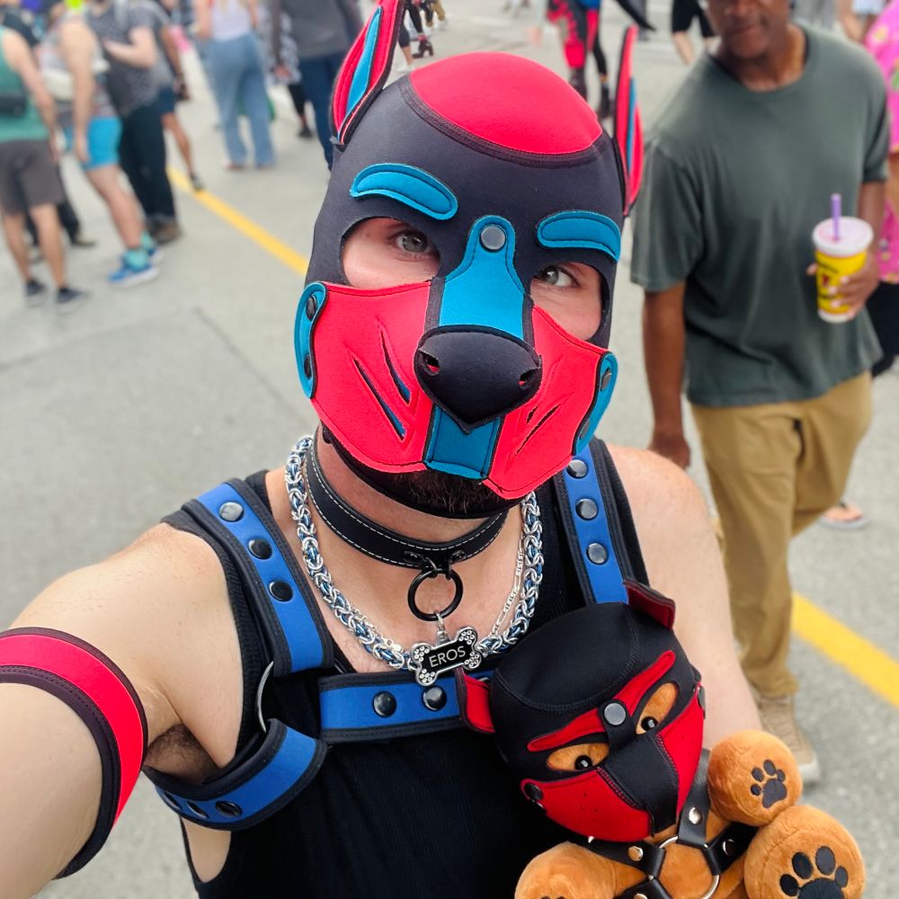 Pup Eros Ω