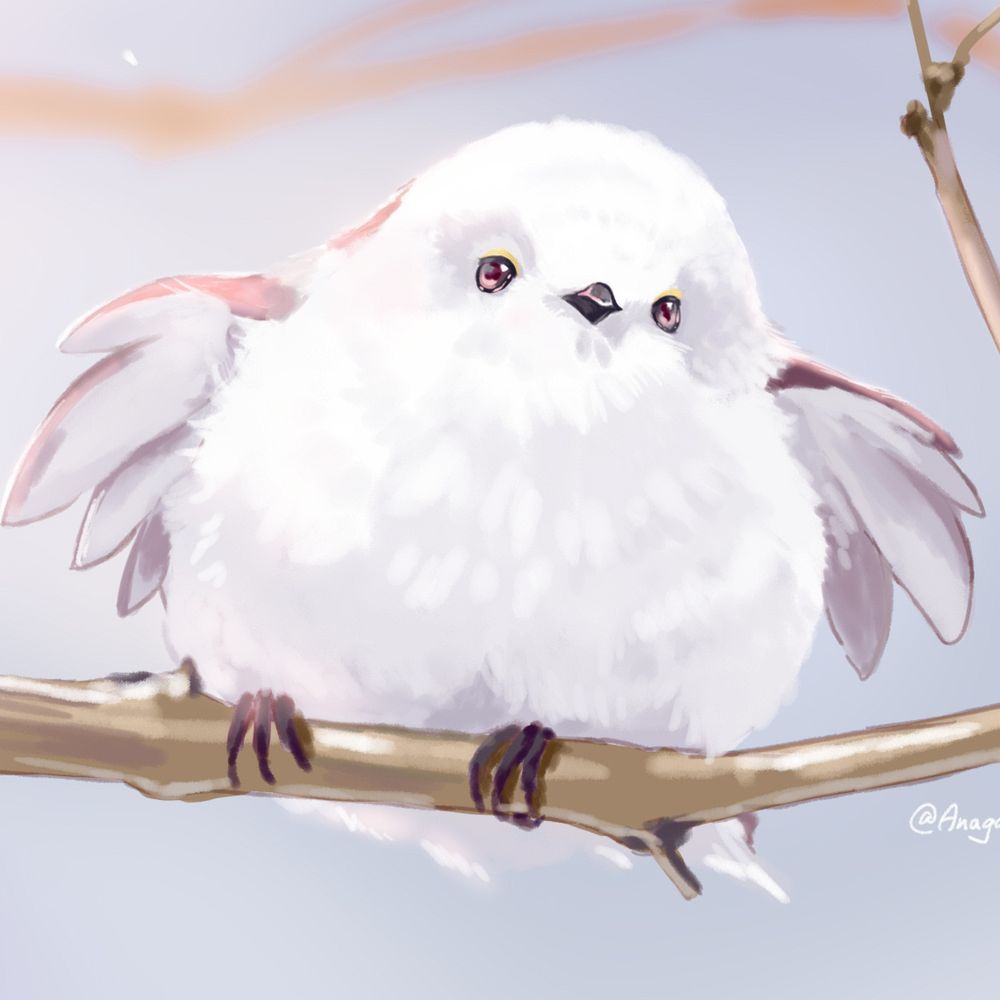 小山雀うめ