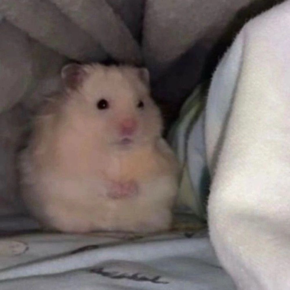 규영
