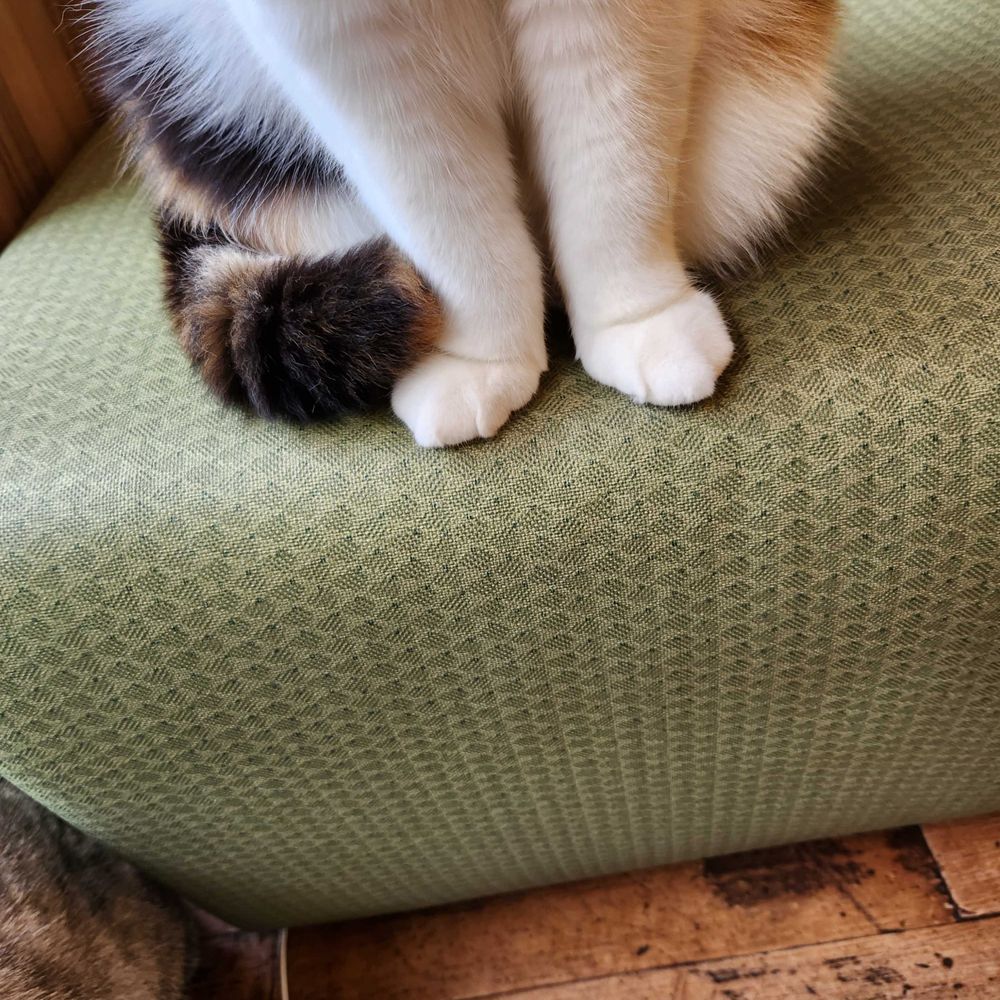 ゆーむ