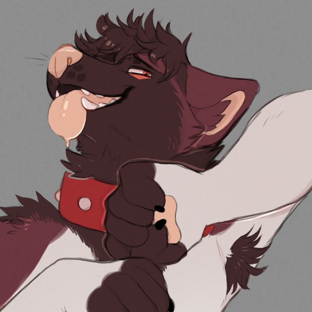 Red Rocket Rocky
