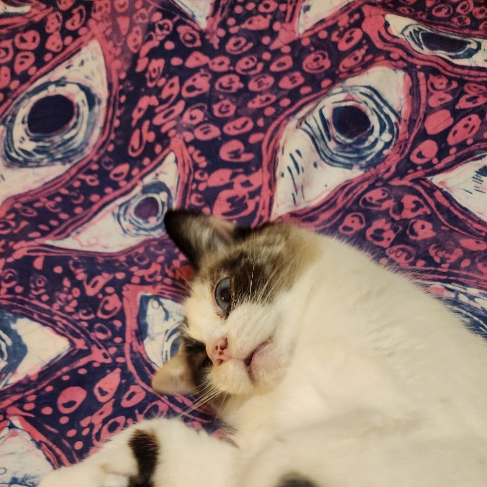Hooey Batiks