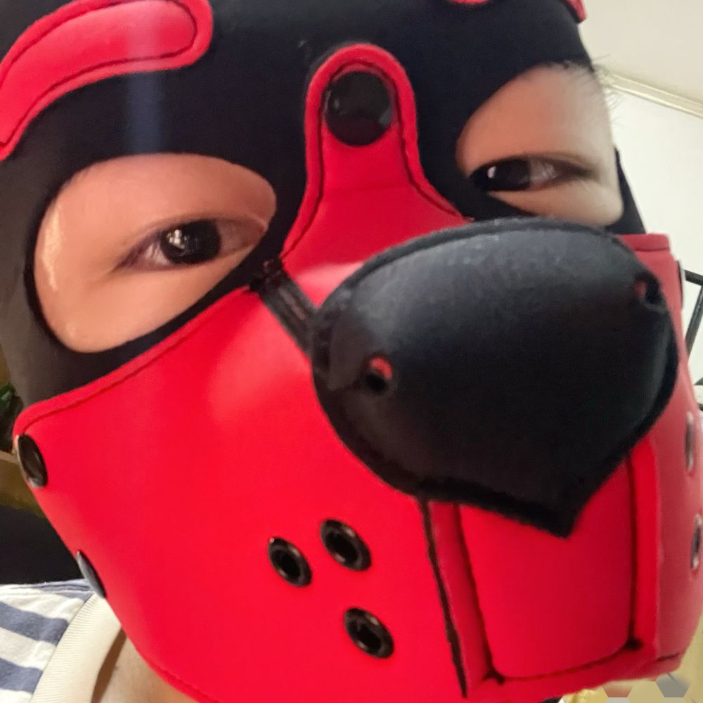 诺凌是只修狗🐶