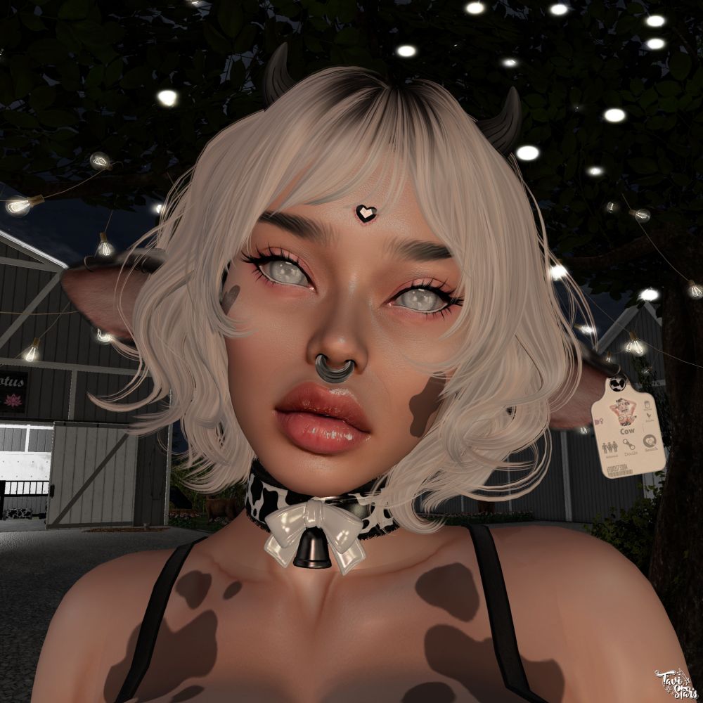 Tavi Stars