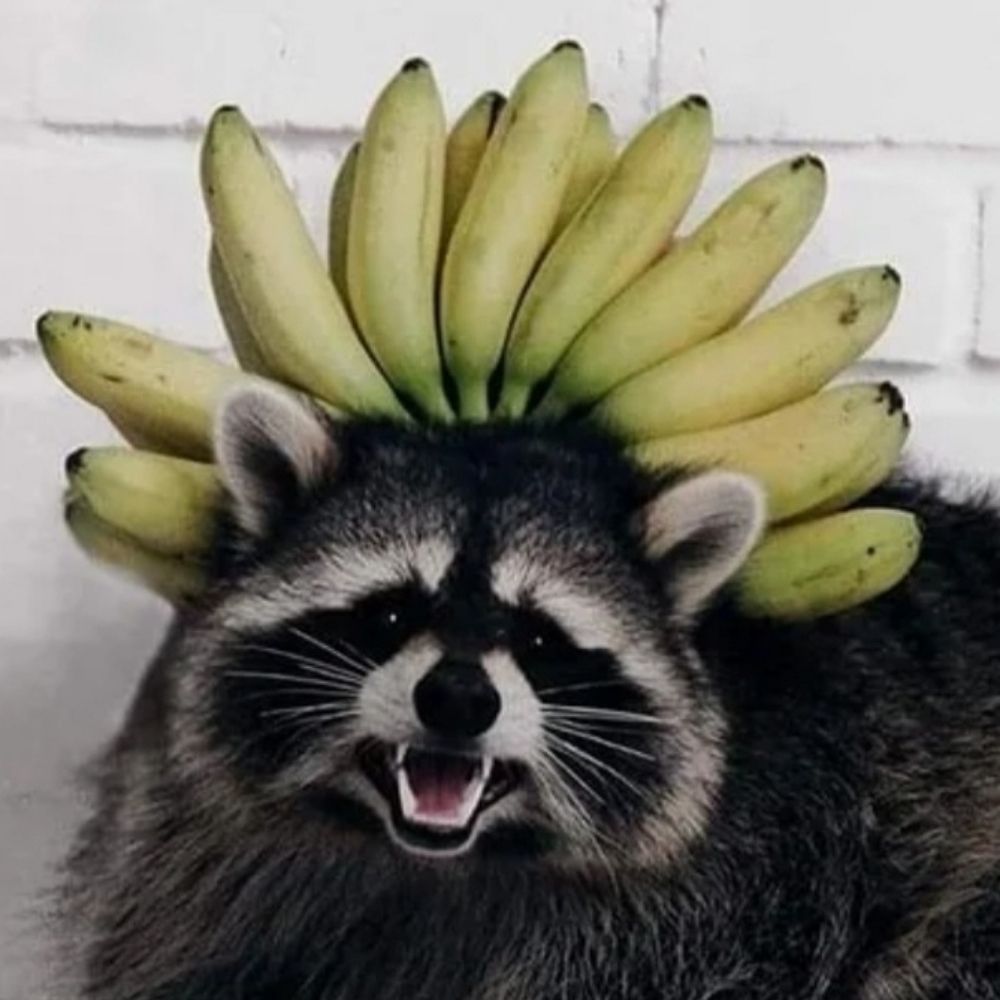 TrashPandaWitch
