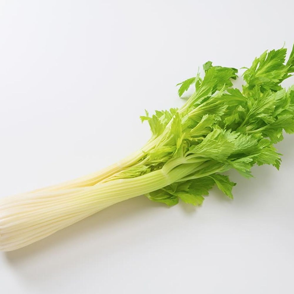 celery