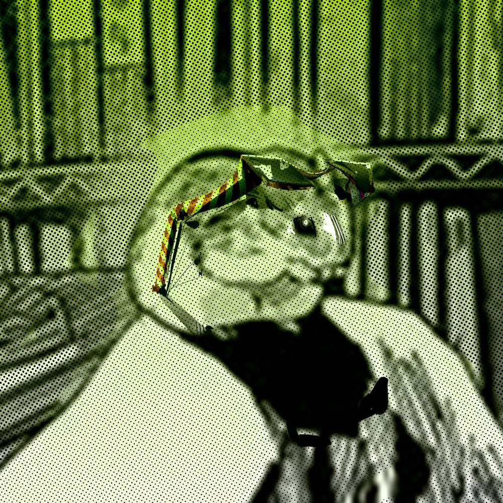 Тень ⋆ ࣪🍹.𖦹