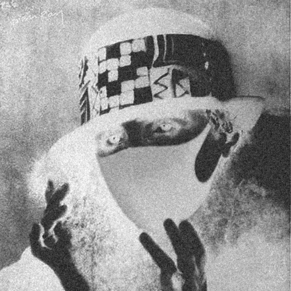 yvaléS esorR