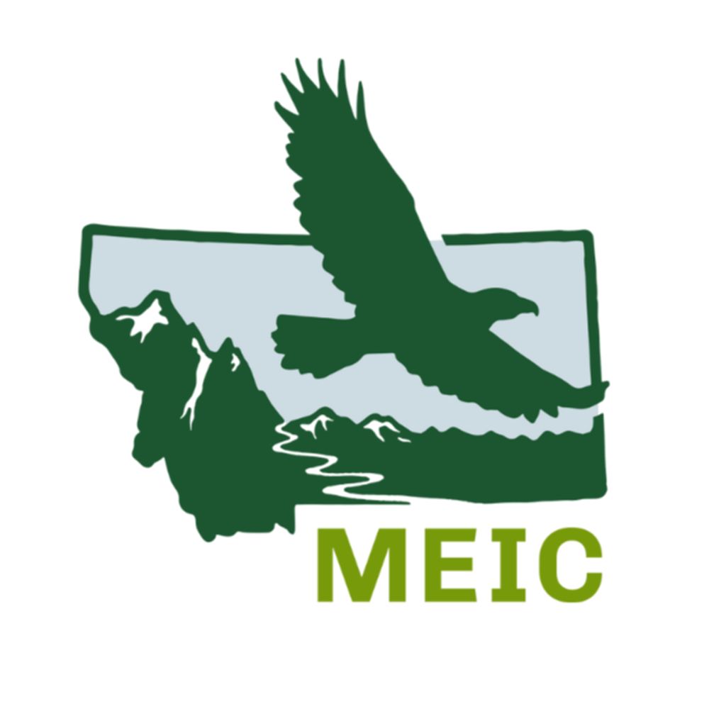 MEIC Official