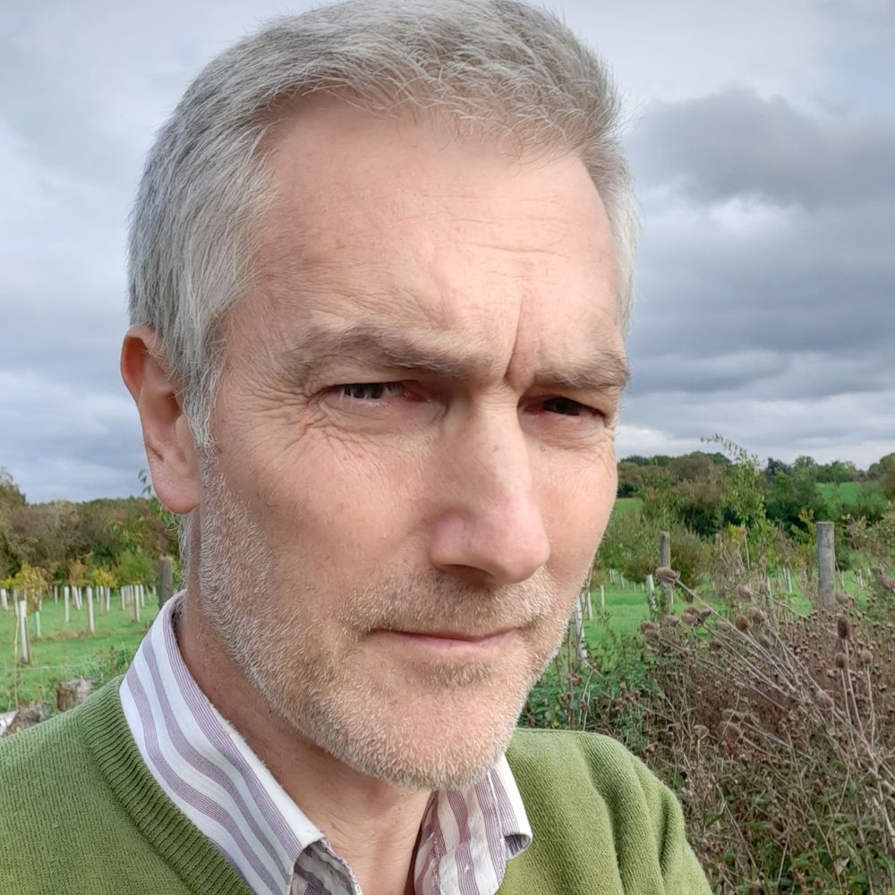 David Basham