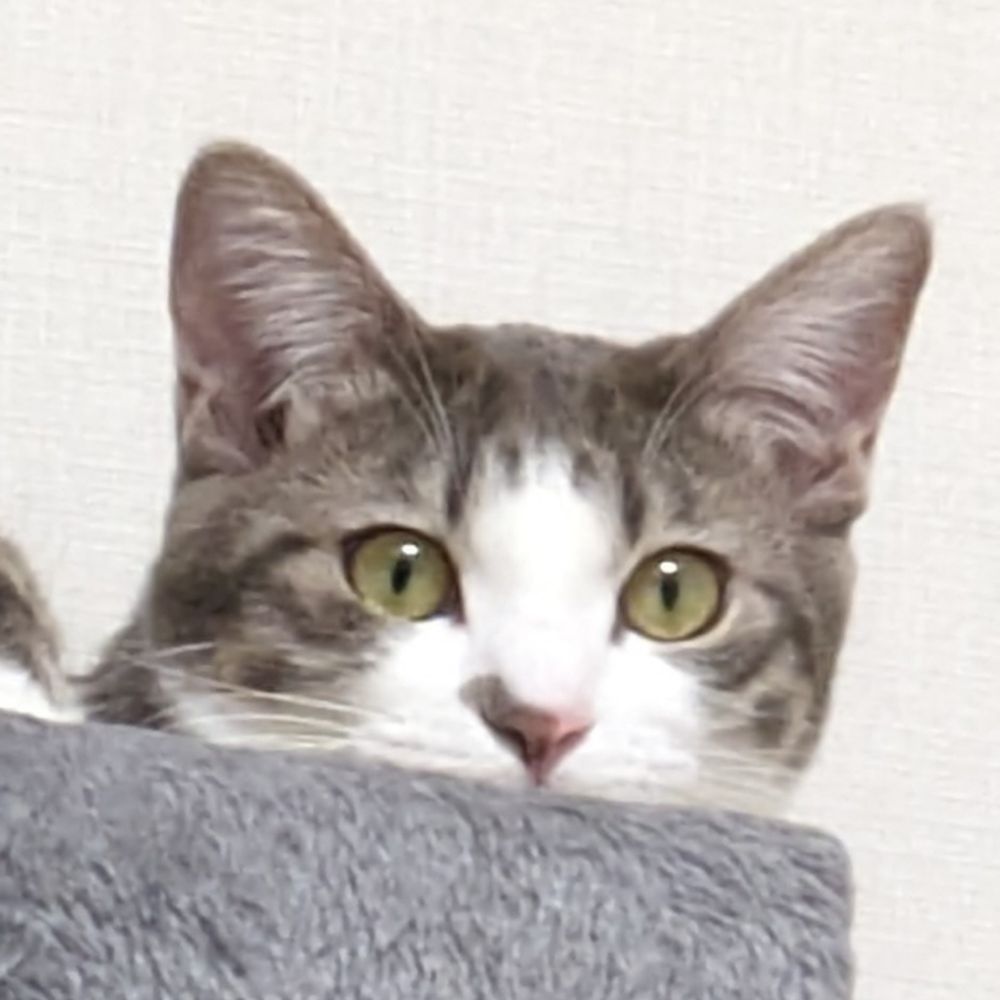 アルティメット佐田宝