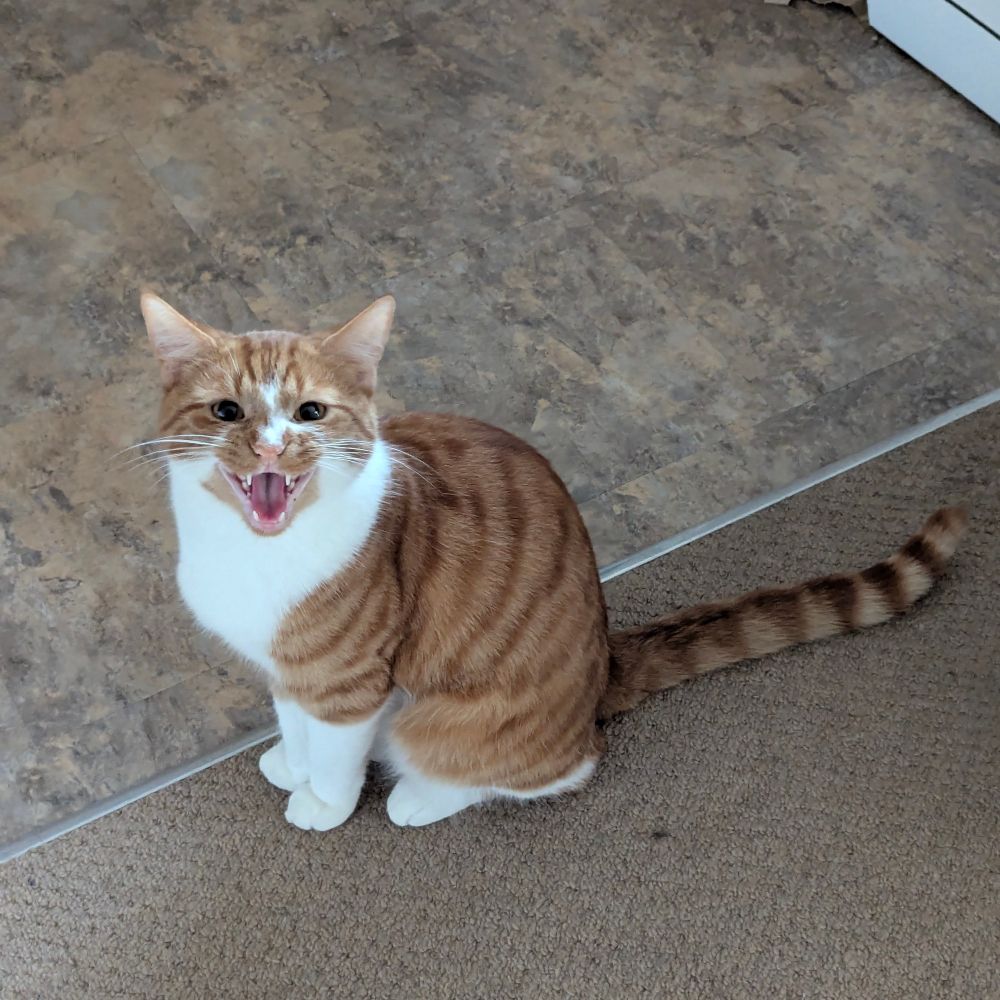 Guard Pete