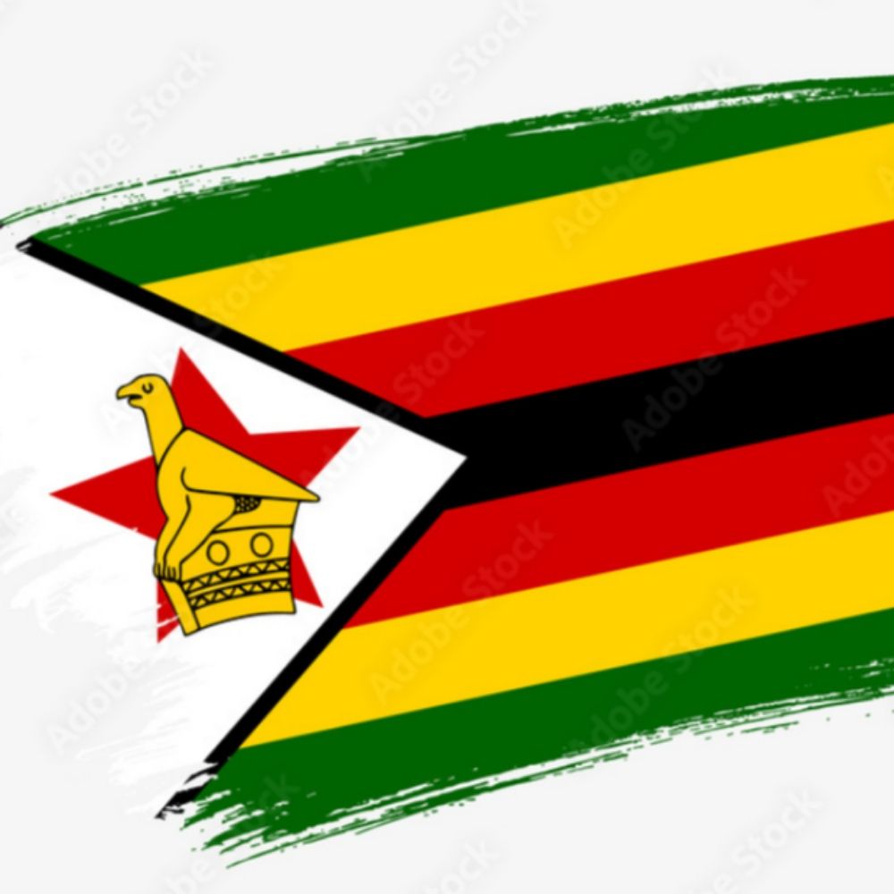 TheZimbabwean
